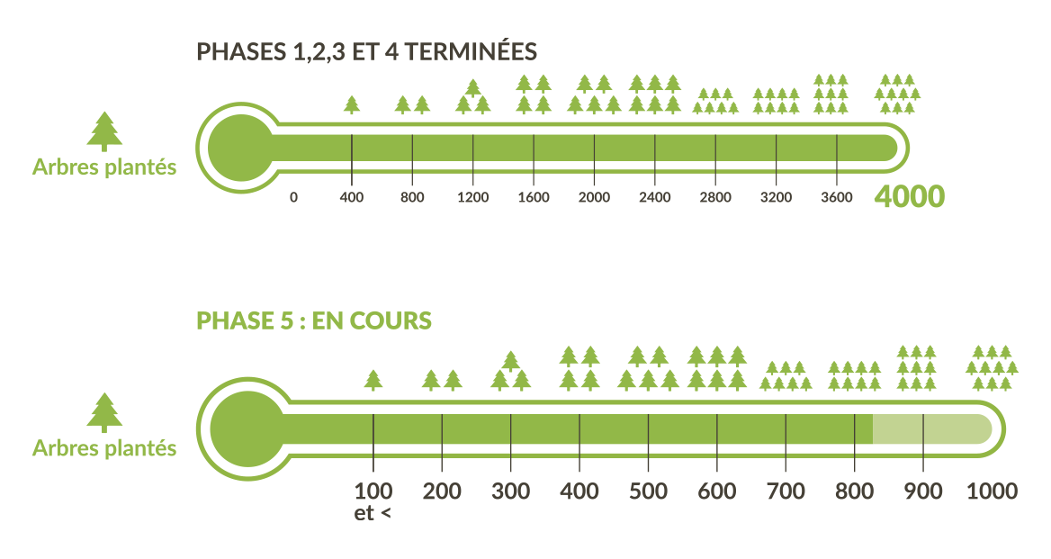 Compensation-Carbone-CO2-Traditours