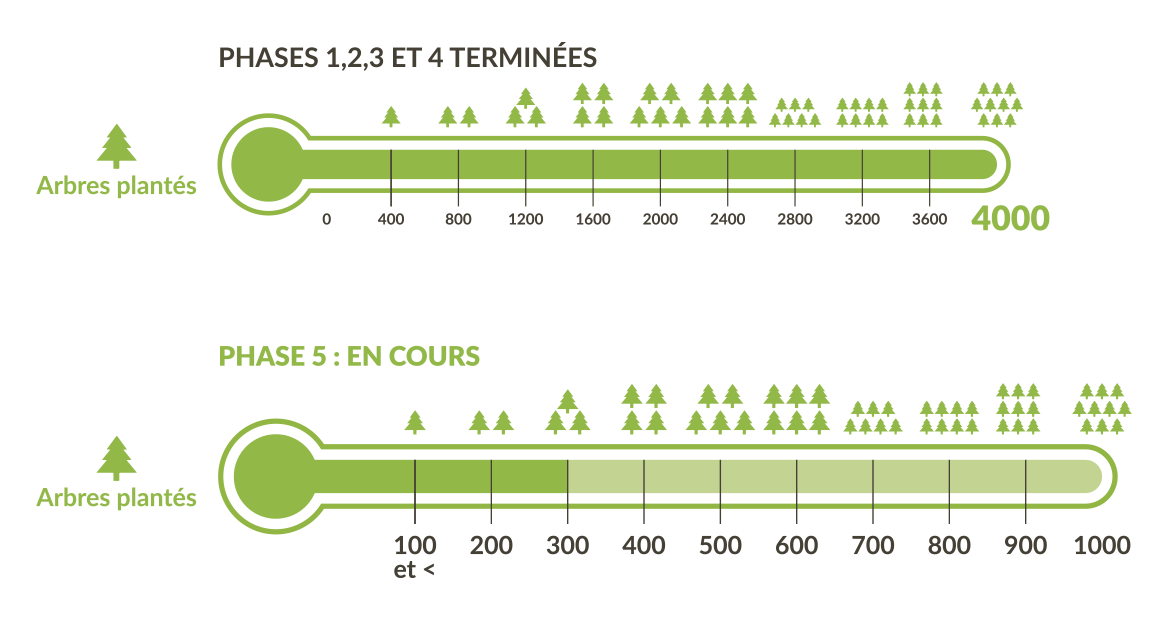 Compensation-Carbone-CO2-Traditours